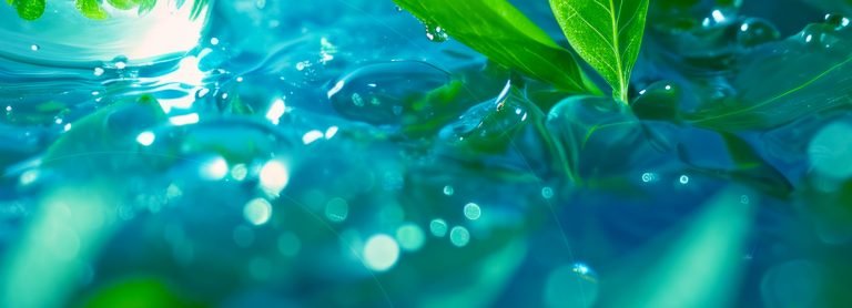 Sustainability Solutions